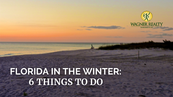 Florida Winter